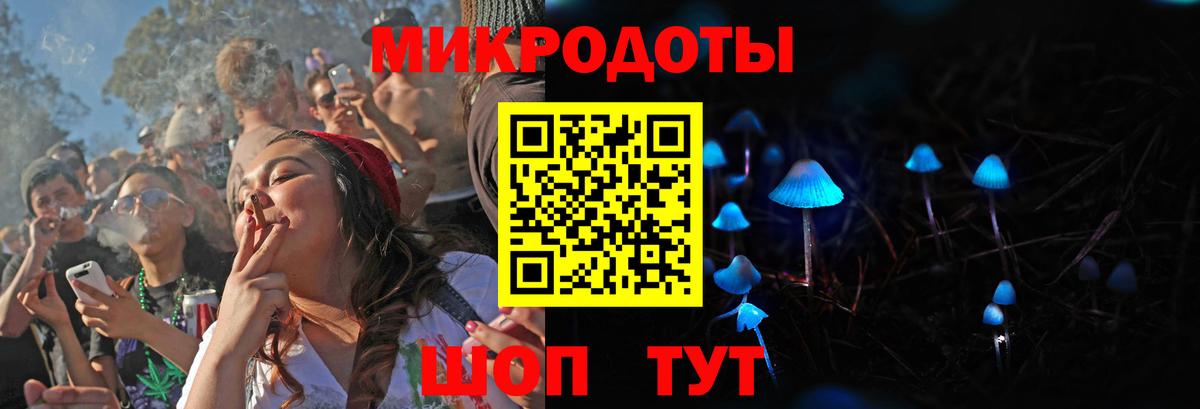 Галлюциногенные грибы Psilocybine cubensis Звенигород